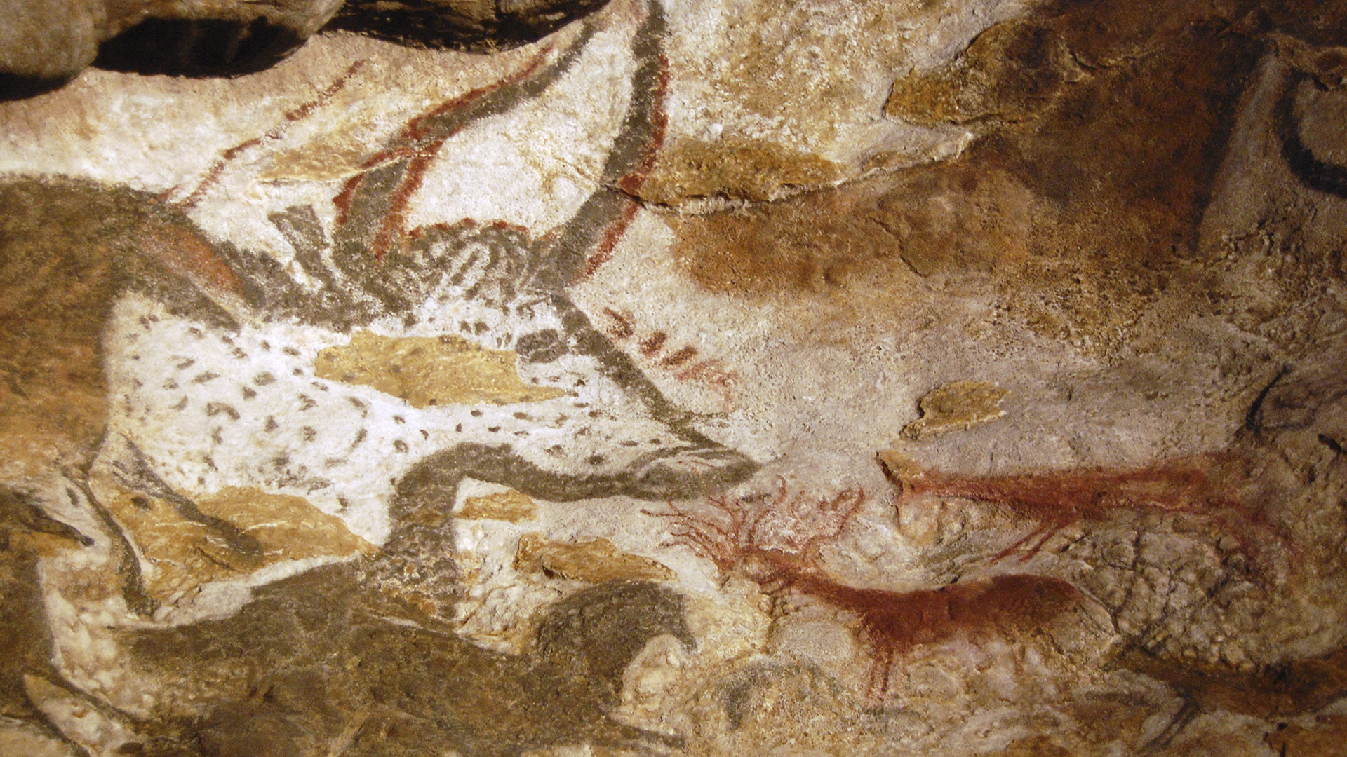 Lascaux cave paintings (c. 18,000 bc), replica from Lascaux International Center for Cave Art, Dordogne, France. Photo: Rick Steves’ Europe.